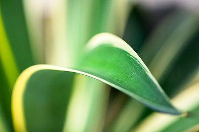 《影之刃零》：我们没有F社的特权让玩家有挫败感 一开始就不是类魂游戏